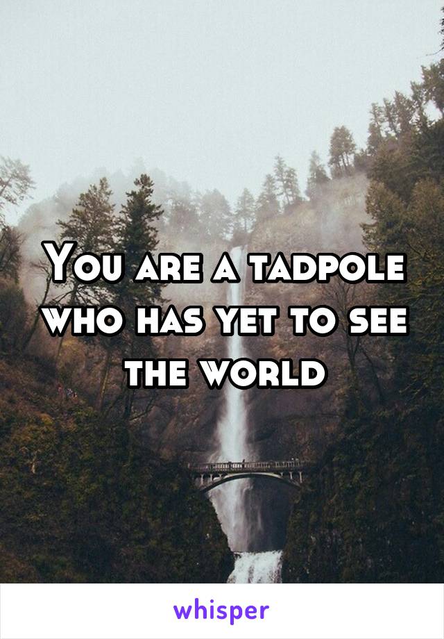 You are a tadpole who has yet to see the world
