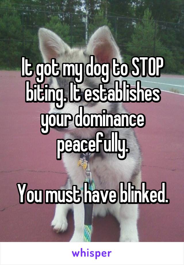 It got my dog to STOP biting. It establishes your dominance peacefully.

You must have blinked.
