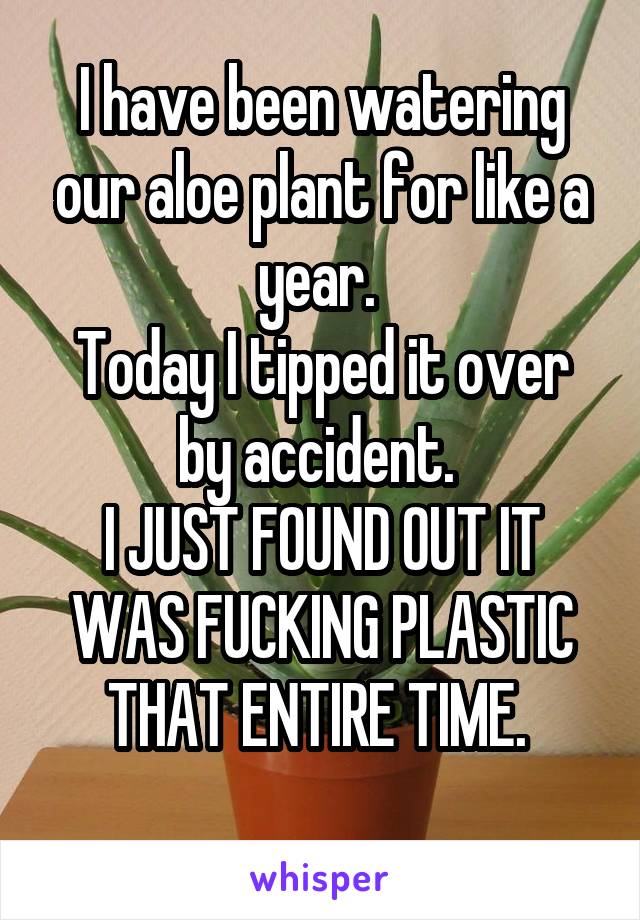 I have been watering our aloe plant for like a year. 
Today I tipped it over by accident. 
I JUST FOUND OUT IT WAS FUCKING PLASTIC THAT ENTIRE TIME. 
