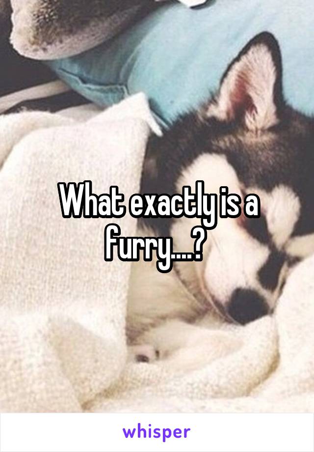 What exactly is a furry....? 
