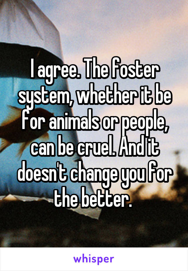 I agree. The foster system, whether it be for animals or people, can be cruel. And it doesn't change you for the better. 