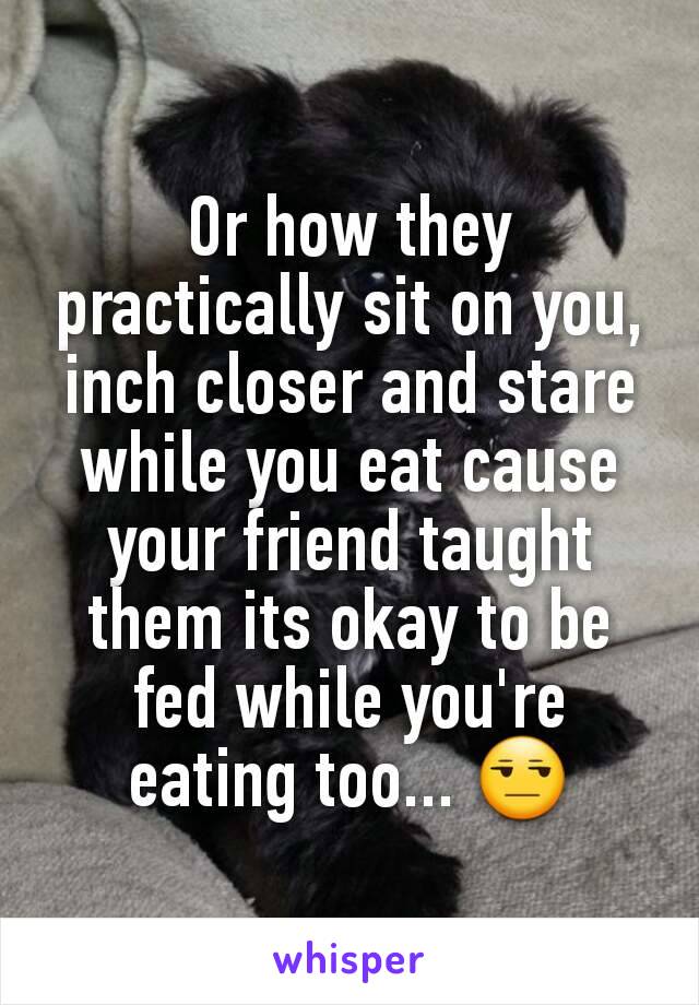Or how they practically sit on you, inch closer and stare while you eat cause your friend taught them its okay to be fed while you're eating too... 😒