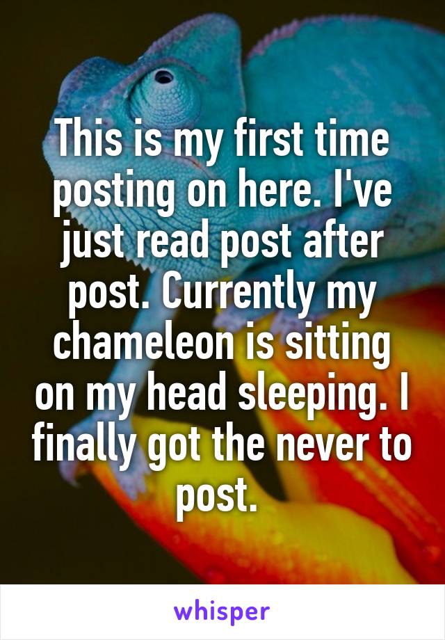 This is my first time posting on here. I've just read post after post. Currently my chameleon is sitting on my head sleeping. I finally got the never to post. 