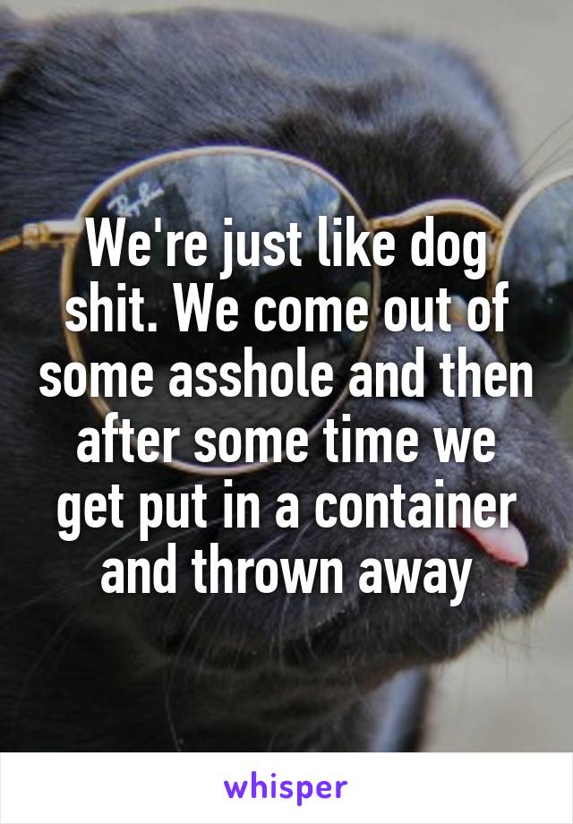 We're just like dog shit. We come out of some asshole and then after some time we get put in a container and thrown away