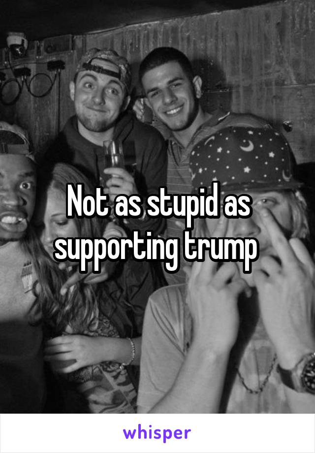 Not as stupid as supporting trump 