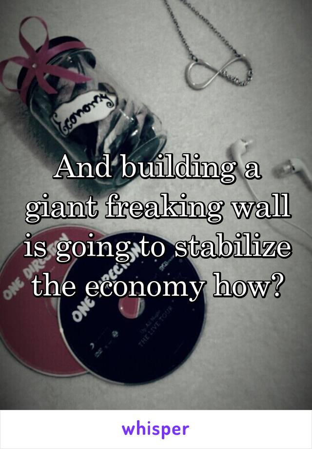 And building a giant freaking wall is going to stabilize the economy how?