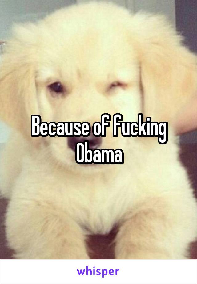 Because of fucking Obama