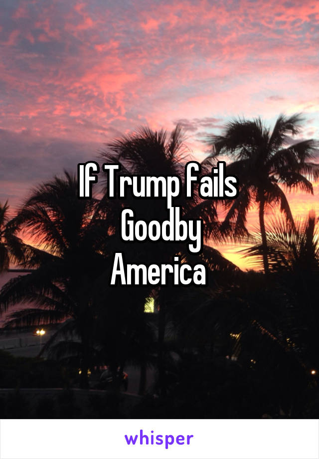 If Trump fails 
Goodby
America 