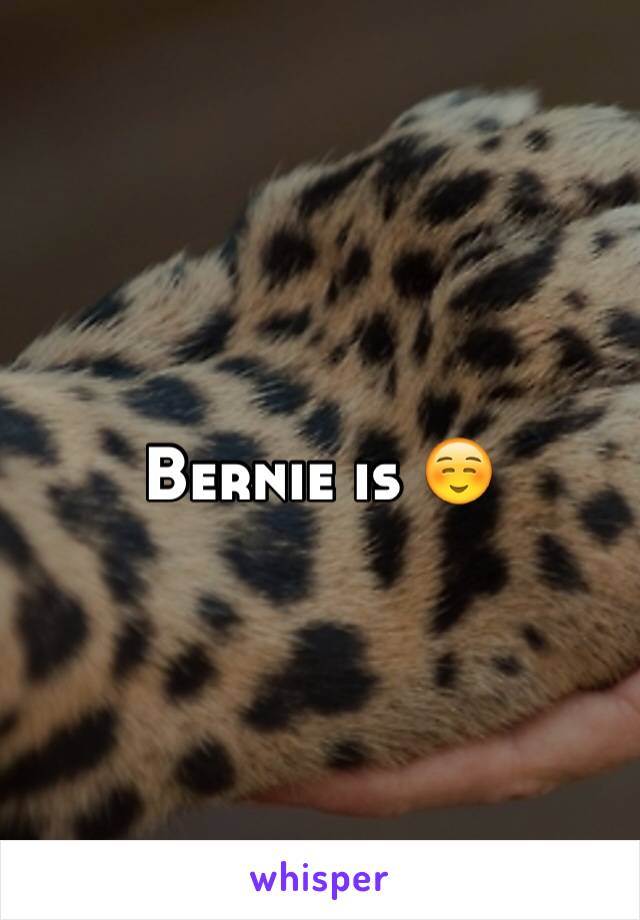 Bernie is ☺️