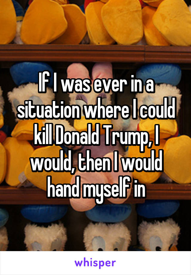 If I was ever in a situation where I could kill Donald Trump, I would, then I would hand myself in