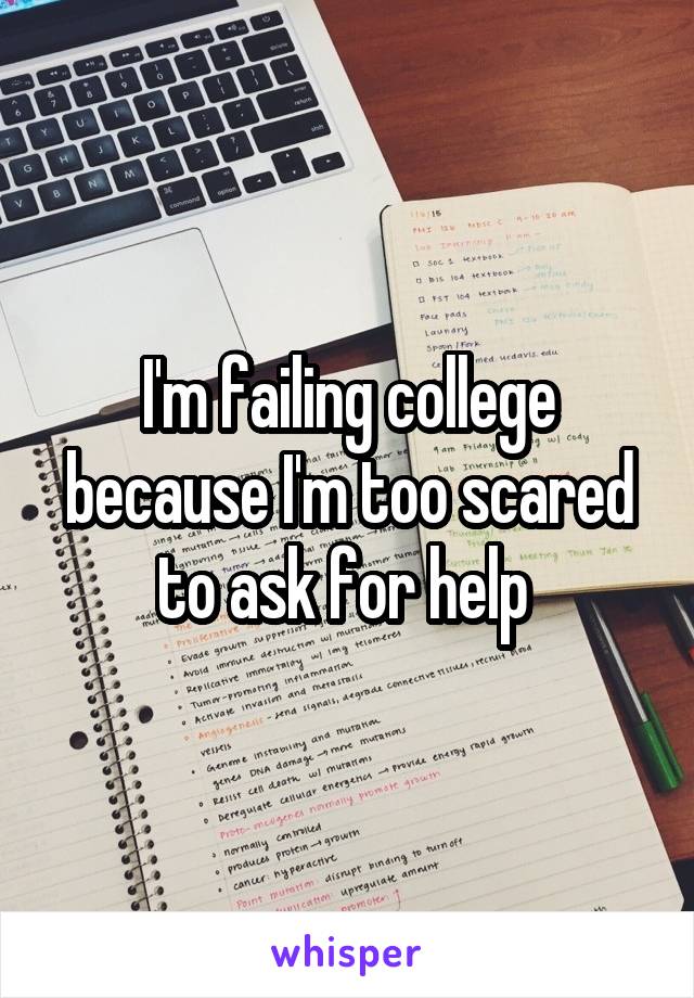 I'm failing college because I'm too scared to ask for help 