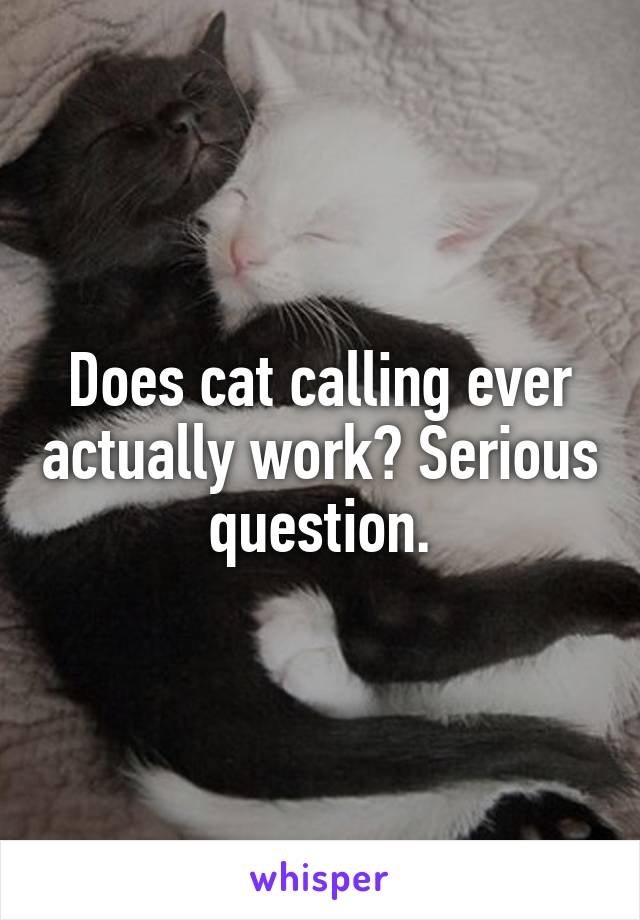 Does cat calling ever actually work? Serious question.