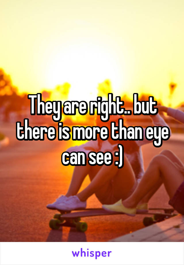 They are right.. but there is more than eye can see :)