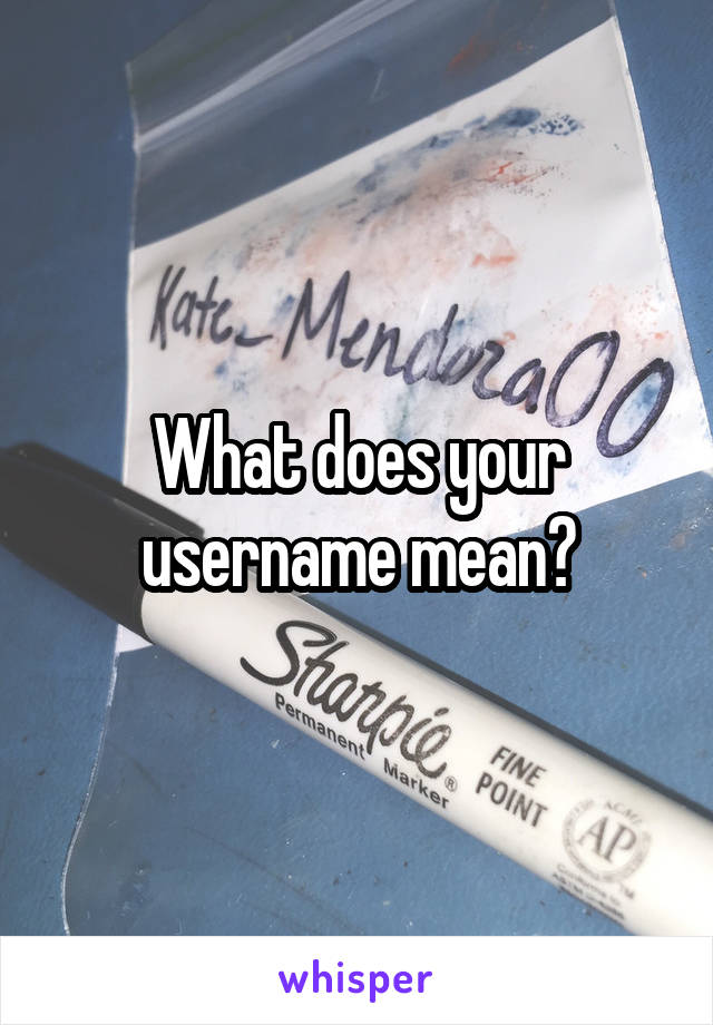 What does your username mean?