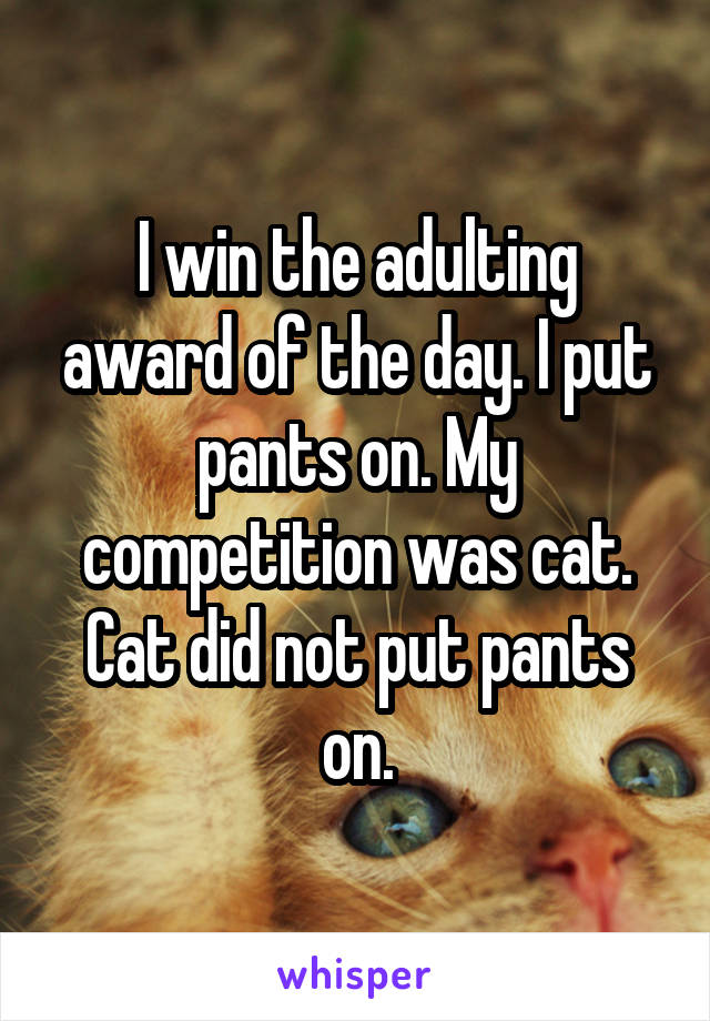 I win the adulting award of the day. I put pants on. My competition was cat. Cat did not put pants on.