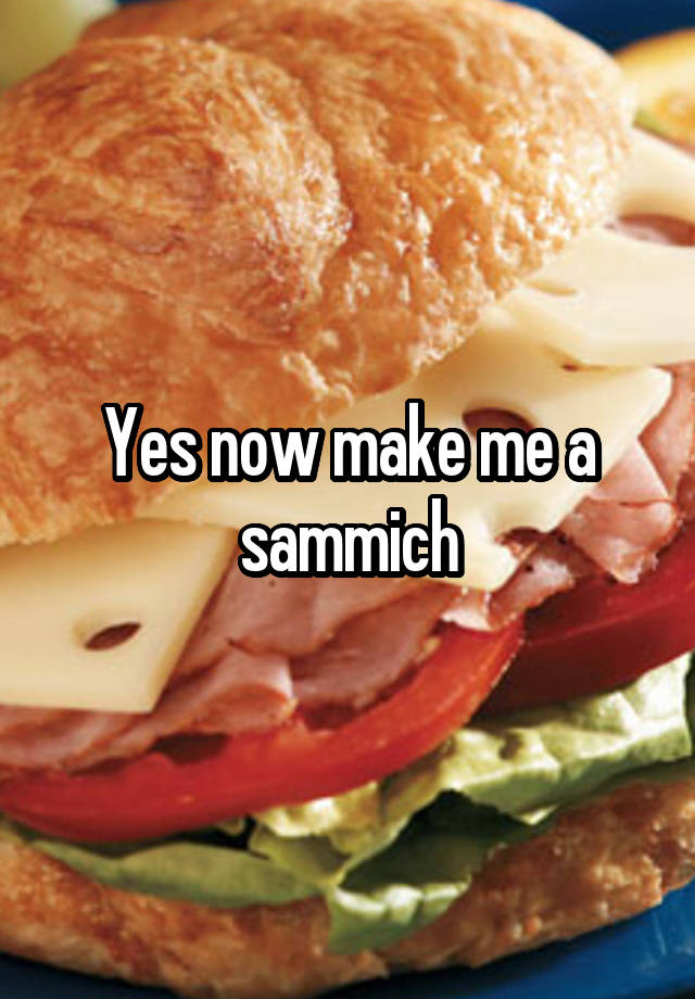 Yes Now Make Me A Sammich 