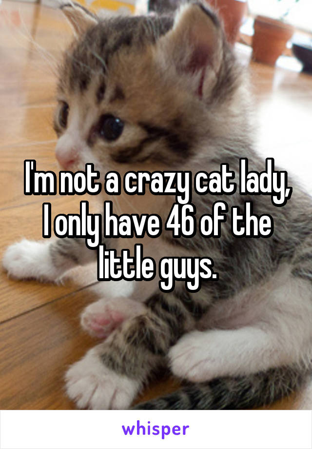 I'm not a crazy cat lady, I only have 46 of the little guys.