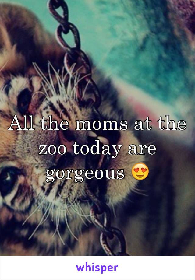 All the moms at the zoo today are gorgeous 😍