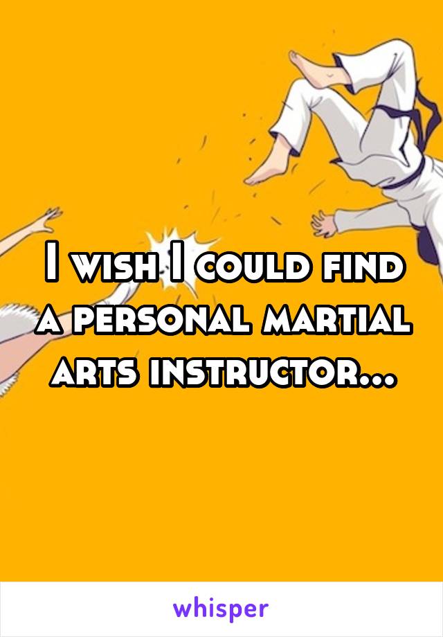 I wish I could find a personal martial arts instructor...