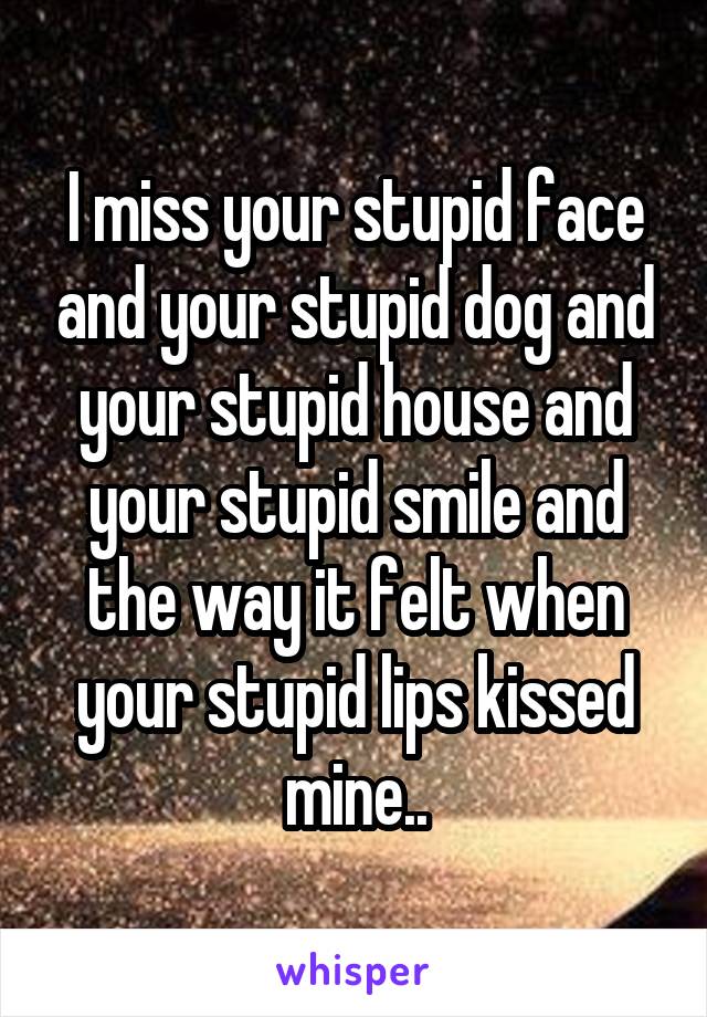 I miss your stupid face and your stupid dog and your stupid house and your stupid smile and the way it felt when your stupid lips kissed mine..