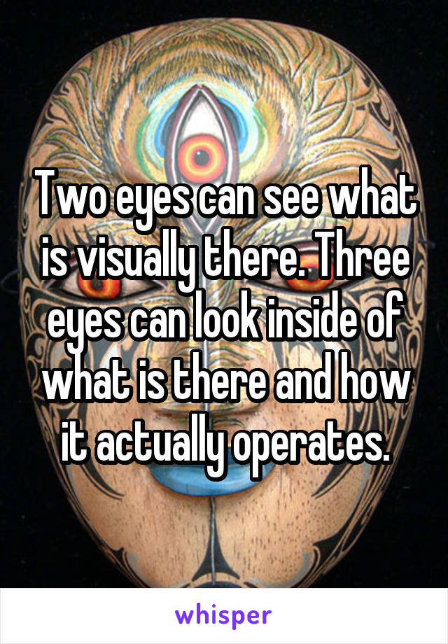 Two eyes can see what is visually there. Three eyes can look inside of what is there and how it actually operates.
