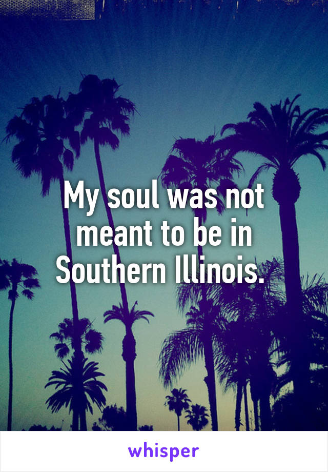 My soul was not meant to be in Southern Illinois. 