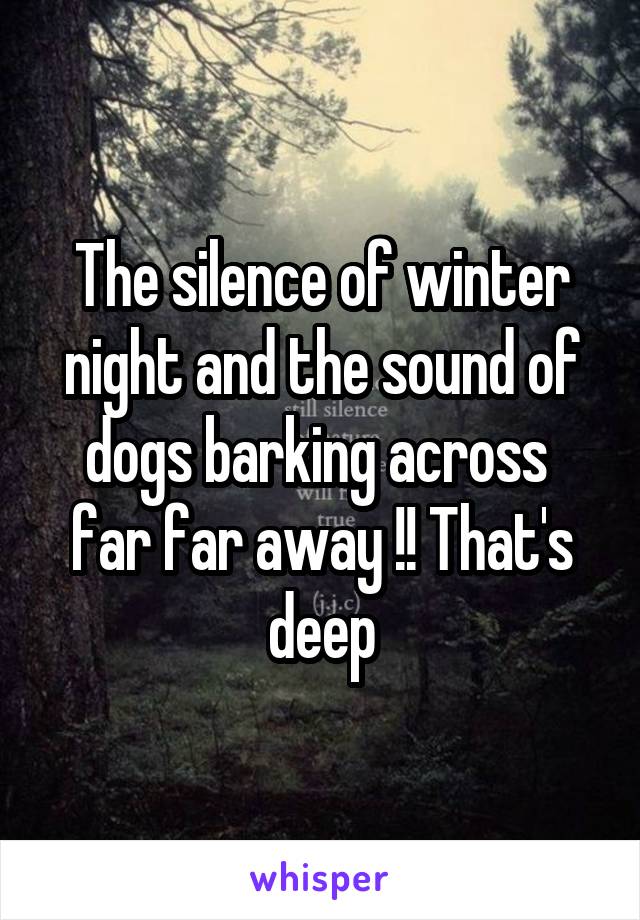The silence of winter night and the sound of dogs barking across  far far away !! That's deep