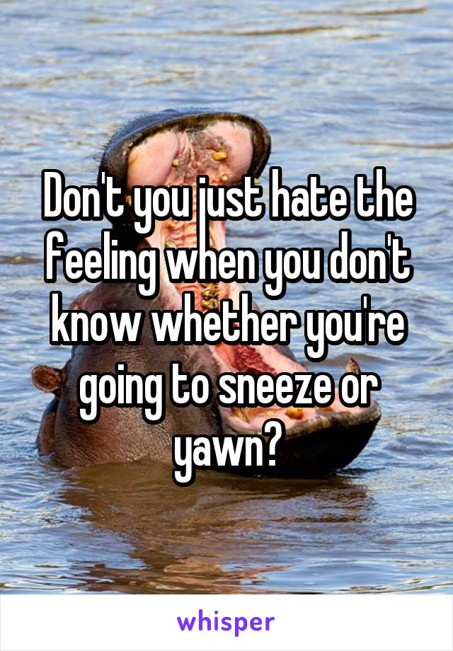 Don't you just hate the feeling when you don't know whether you're going to sneeze or yawn?