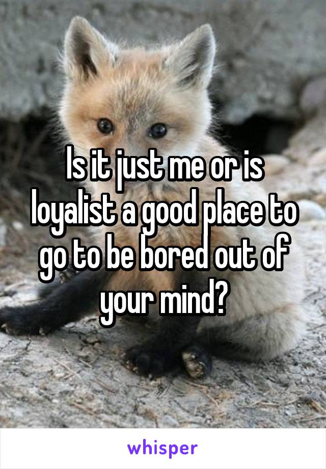Is it just me or is loyalist a good place to go to be bored out of your mind?