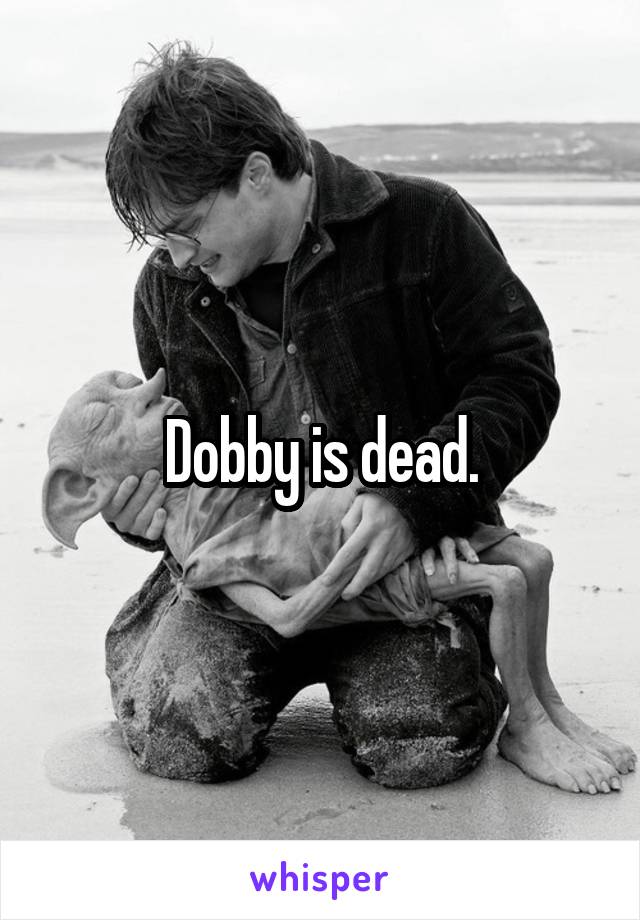 Dobby is dead.