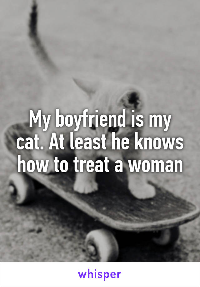My boyfriend is my cat. At least he knows how to treat a woman