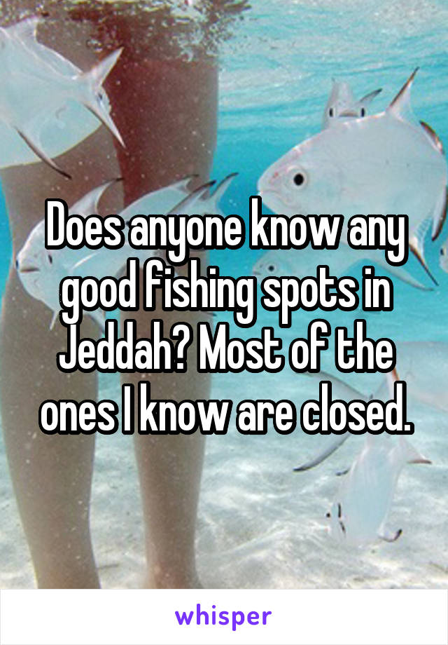 Does anyone know any good fishing spots in Jeddah? Most of the ones I know are closed.