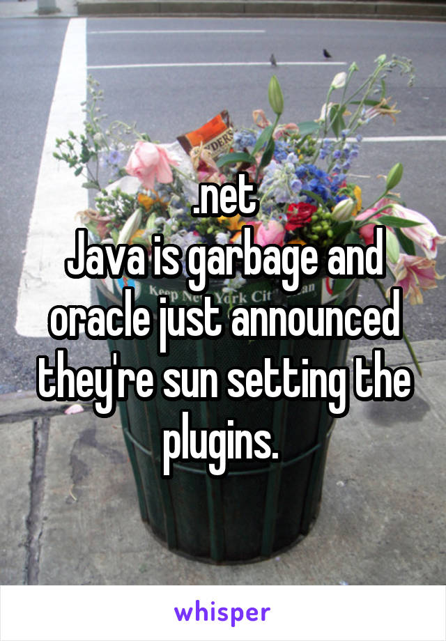 .net
Java is garbage and oracle just announced they're sun setting the plugins. 