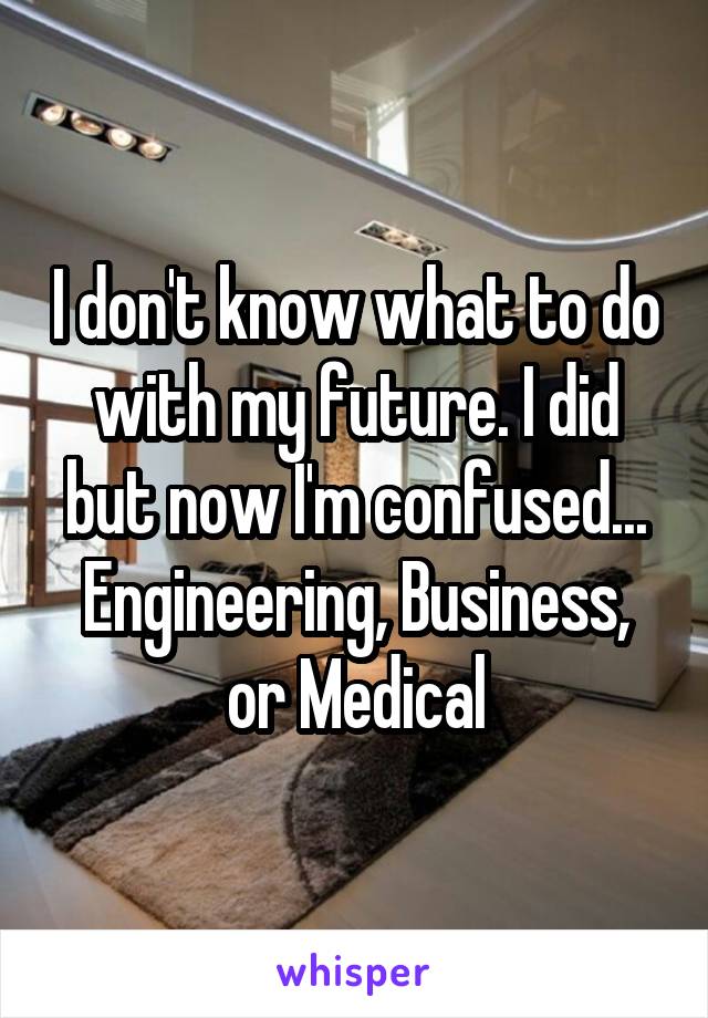 I don't know what to do with my future. I did but now I'm confused... Engineering, Business, or Medical