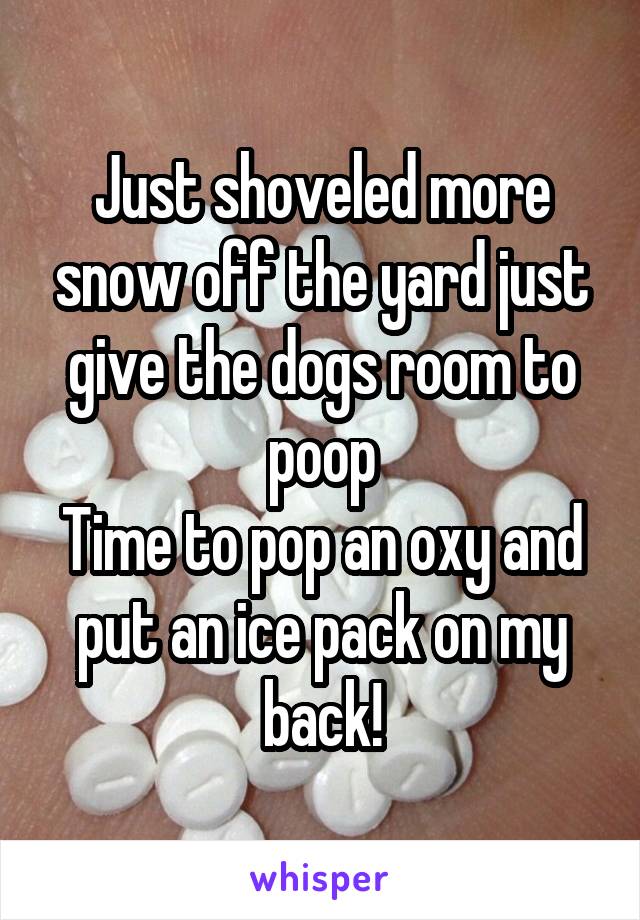 Just shoveled more snow off the yard just give the dogs room to poop
Time to pop an oxy and put an ice pack on my back!