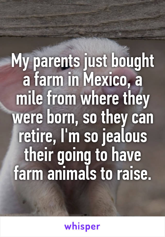 My parents just bought a farm in Mexico, a mile from where they were born, so they can retire, I'm so jealous their going to have farm animals to raise.