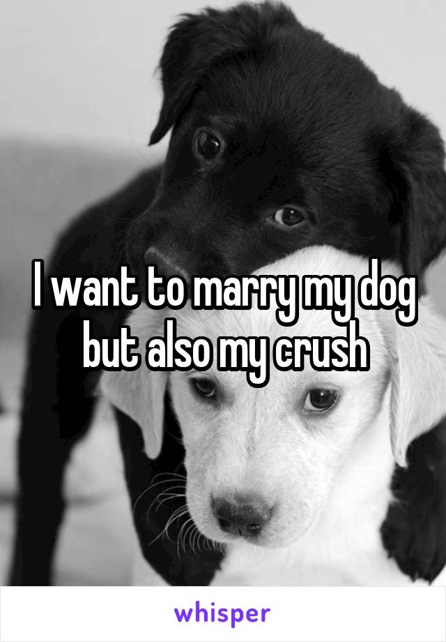 I want to marry my dog but also my crush