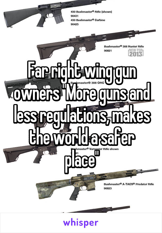 Far right wing gun owners "More guns and less regulations, makes the world a safer place"