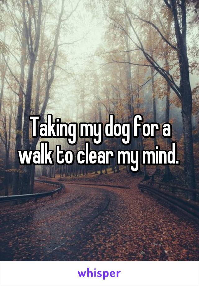 Taking my dog for a walk to clear my mind. 