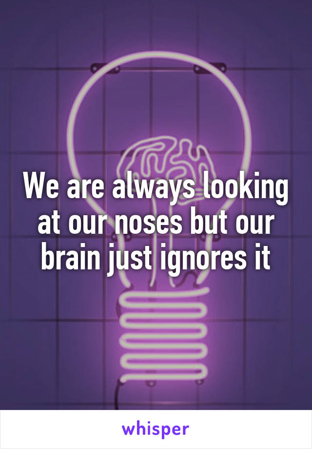 We are always looking at our noses but our brain just ignores it