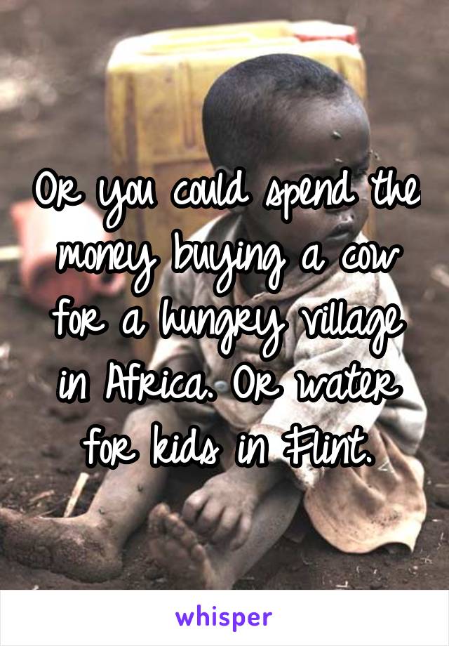 Or you could spend the money buying a cow for a hungry village in Africa. Or water for kids in Flint.