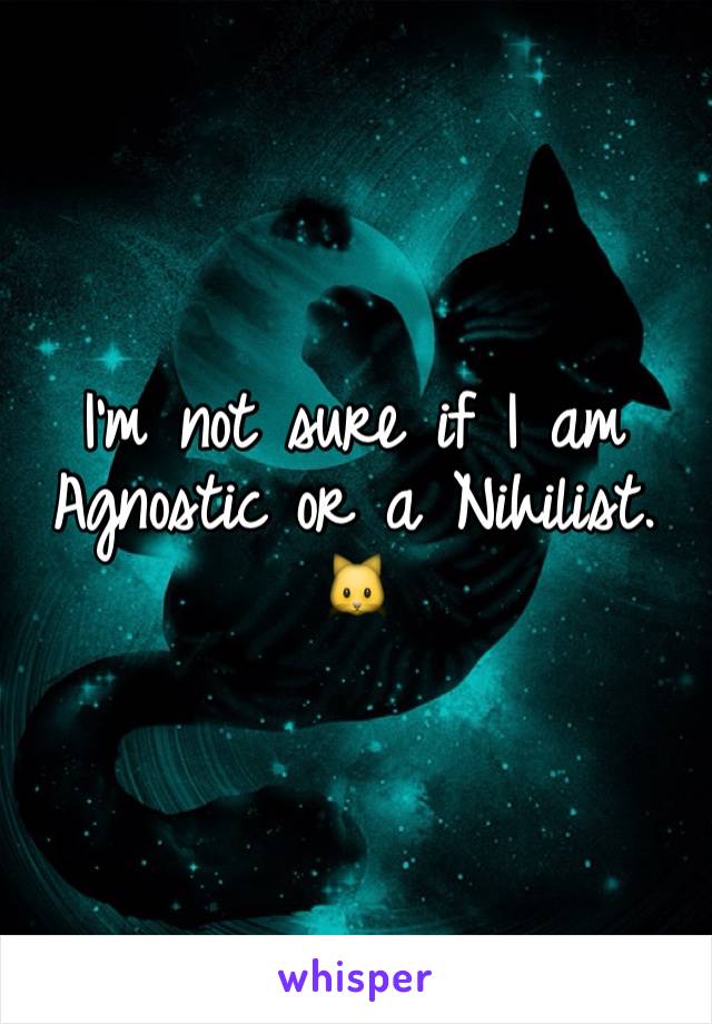 I'm not sure if I am Agnostic or a Nihilist. 🐱