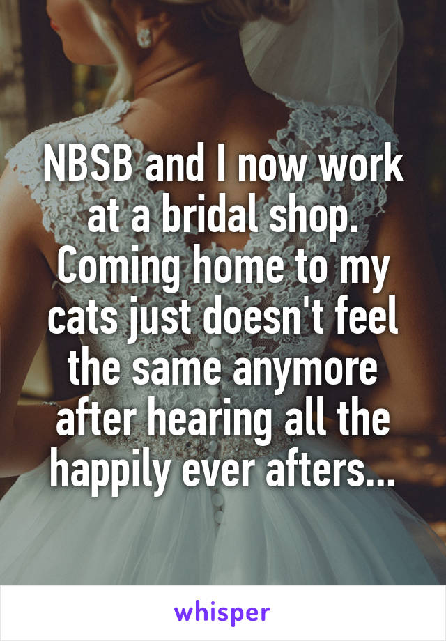NBSB and I now work at a bridal shop. Coming home to my cats just doesn't feel the same anymore after hearing all the happily ever afters...