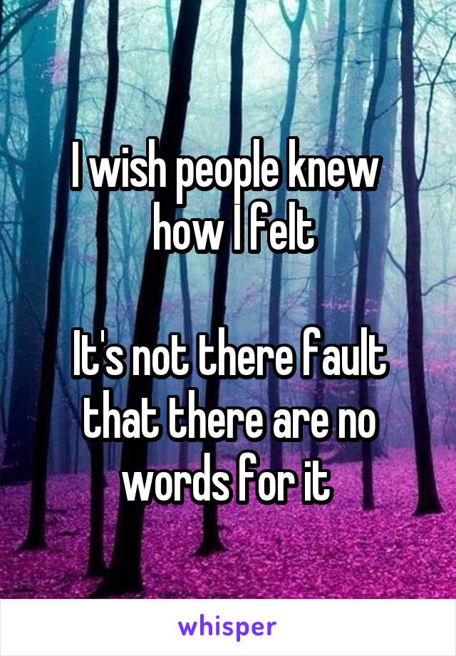 I wish people knew 
 how I felt

It's not there fault that there are no words for it 