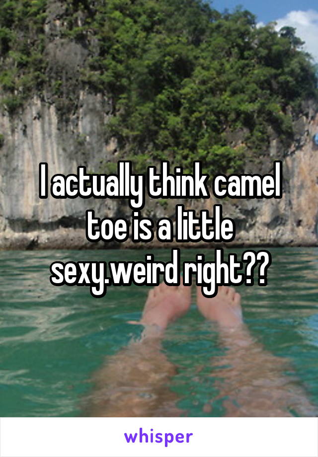 I actually think camel toe is a little sexy.weird right??
