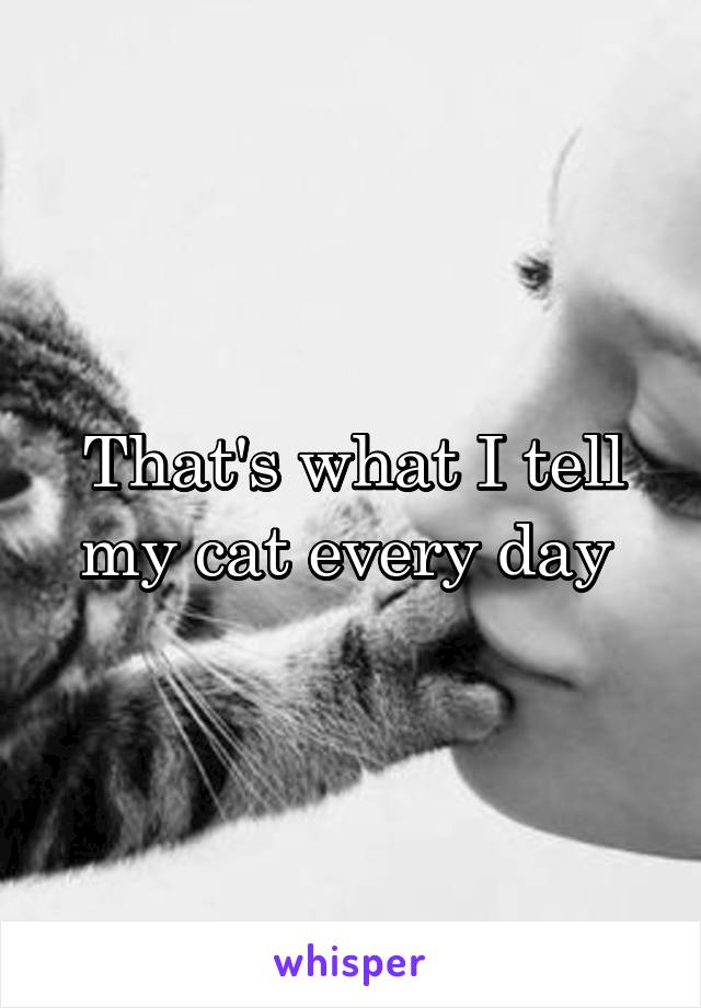 That's what I tell my cat every day 