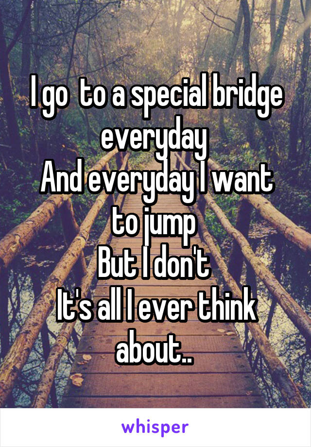 I go  to a special bridge everyday 
And everyday I want to jump 
But I don't 
It's all I ever think about.. 