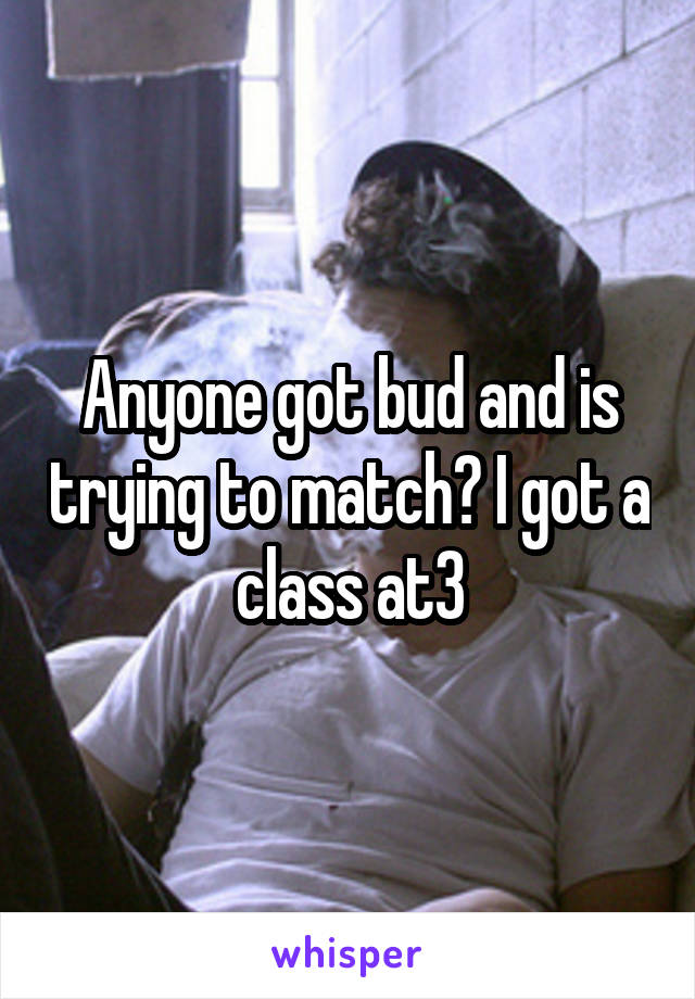 Anyone got bud and is trying to match? I got a class at3