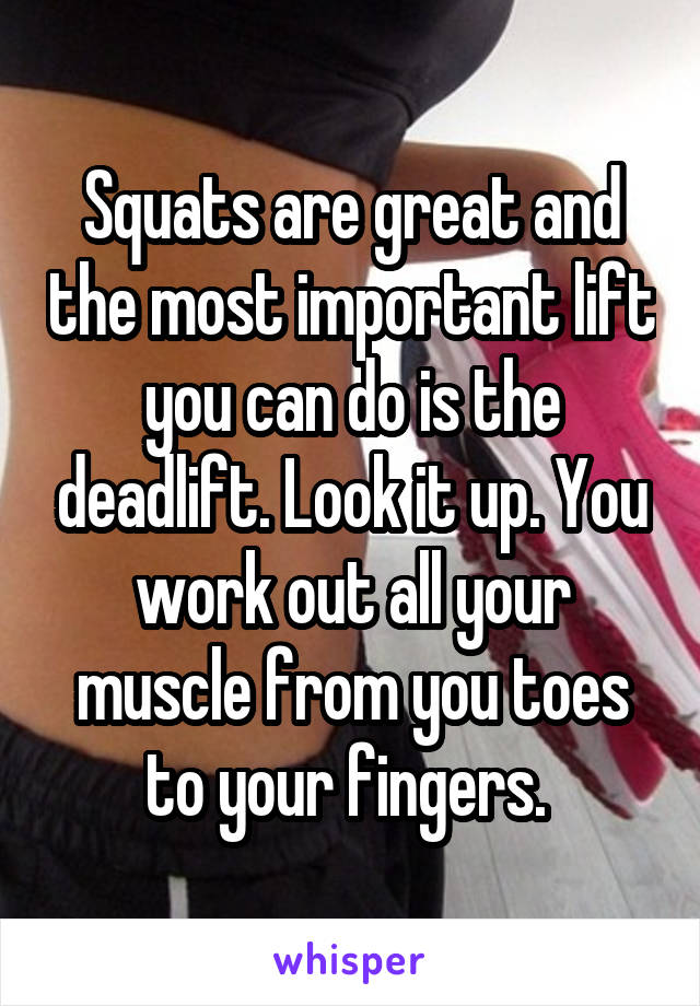 Squats are great and the most important lift you can do is the deadlift. Look it up. You work out all your muscle from you toes to your fingers. 