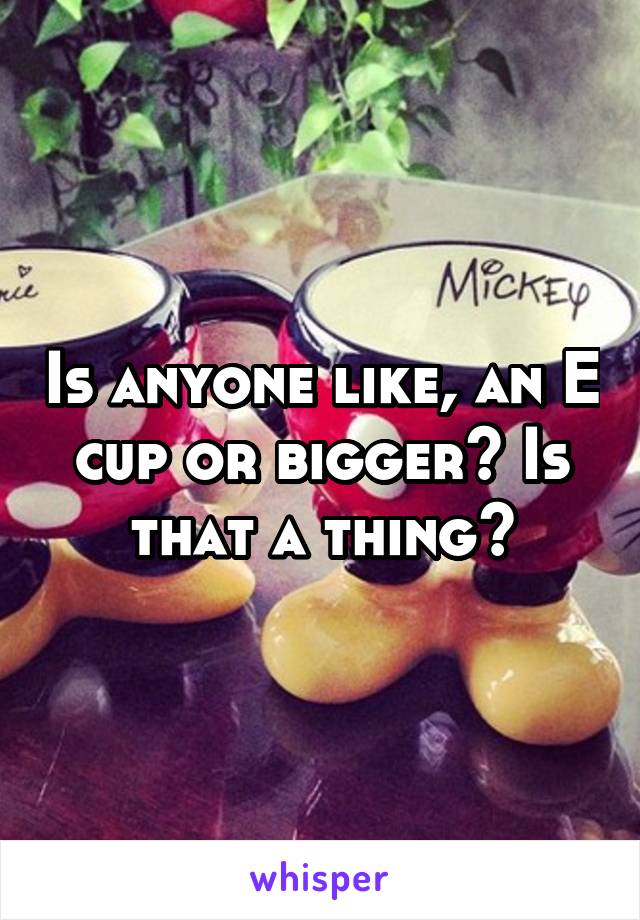 Is anyone like, an E cup or bigger? Is that a thing?